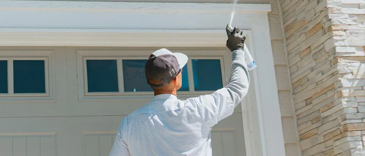 Tech spraying wasp nest