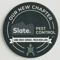custom slate logo