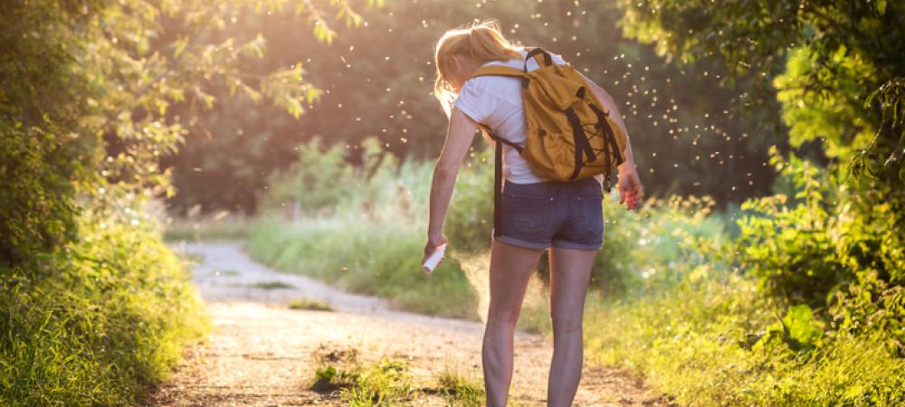 A Woman Walking along a Path Surrounded by Mosquitoes