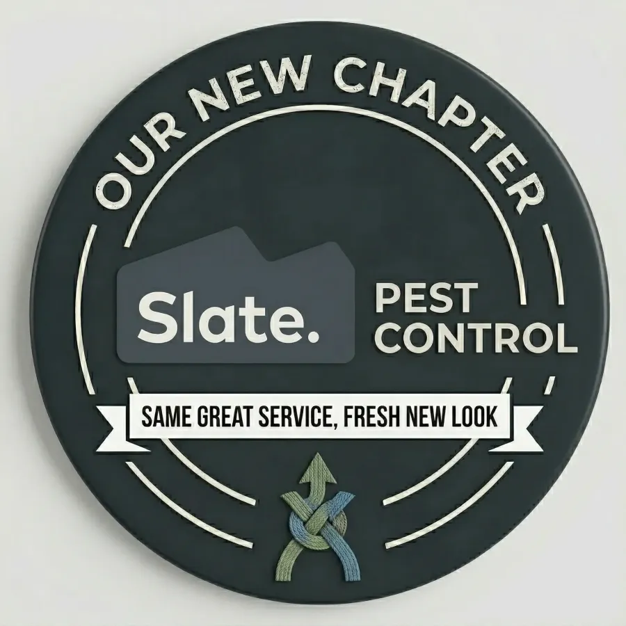 custom slate logo