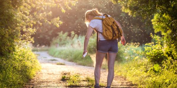 A Woman Walking along a Path Surrounded by Mosquitoes